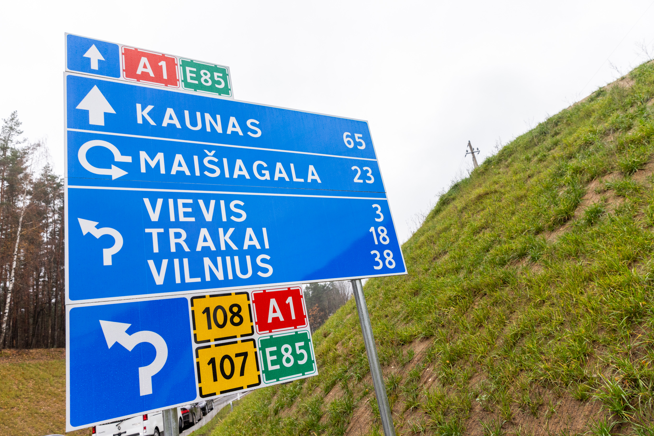 Vievis